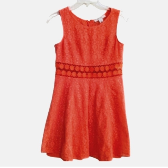 Adam Levine Collection Vibrant Orange Dress. Sz M - Picture 1 of 4